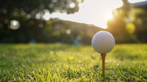 View of How to Determine If a Groundhog Is Causing Damage on Your Golf Course ...