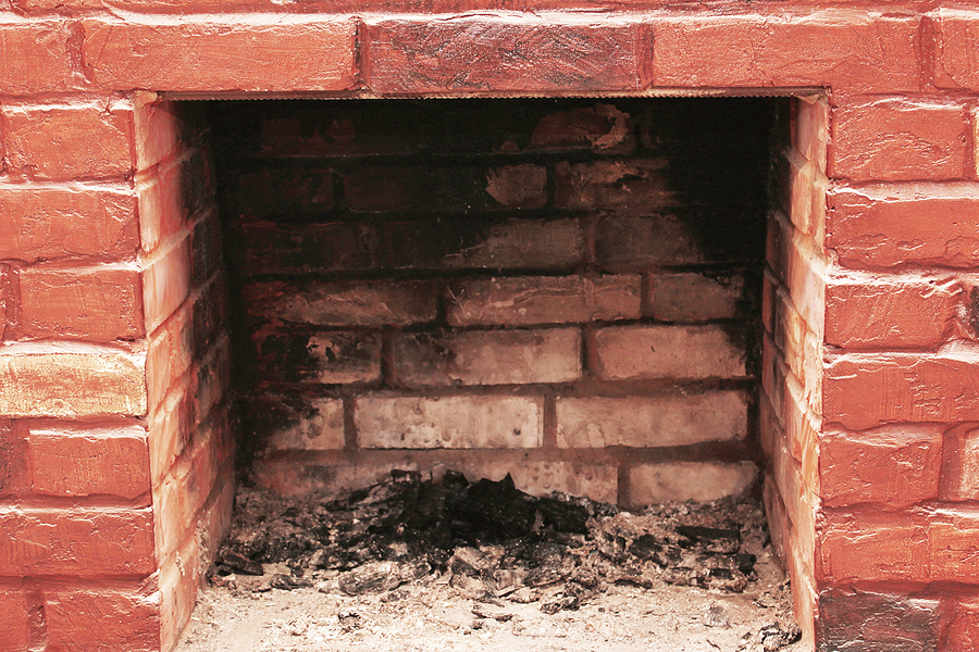 Raccoon in the Chimney in Henrico VA
